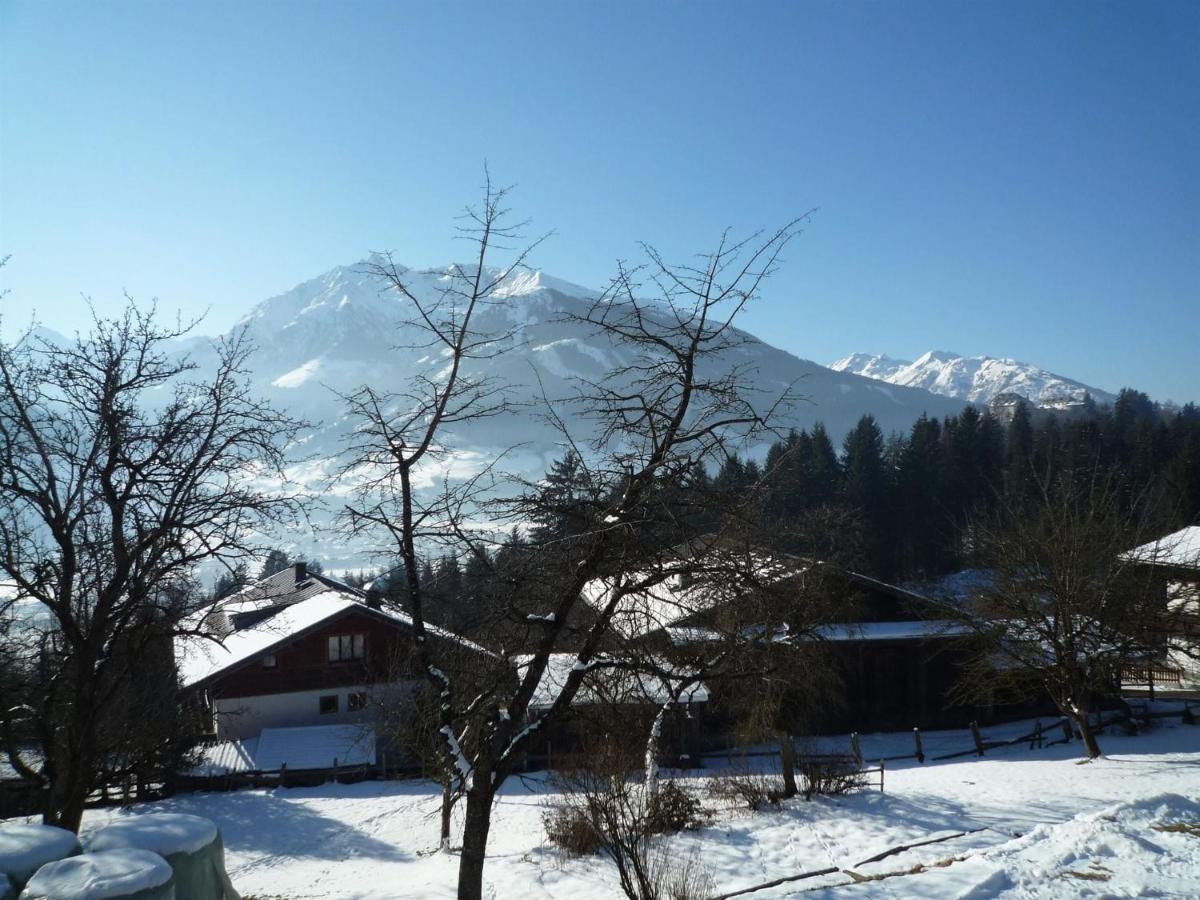 Spacious Apartment With Close To Skiing Points Mittersill Dış mekan fotoğraf